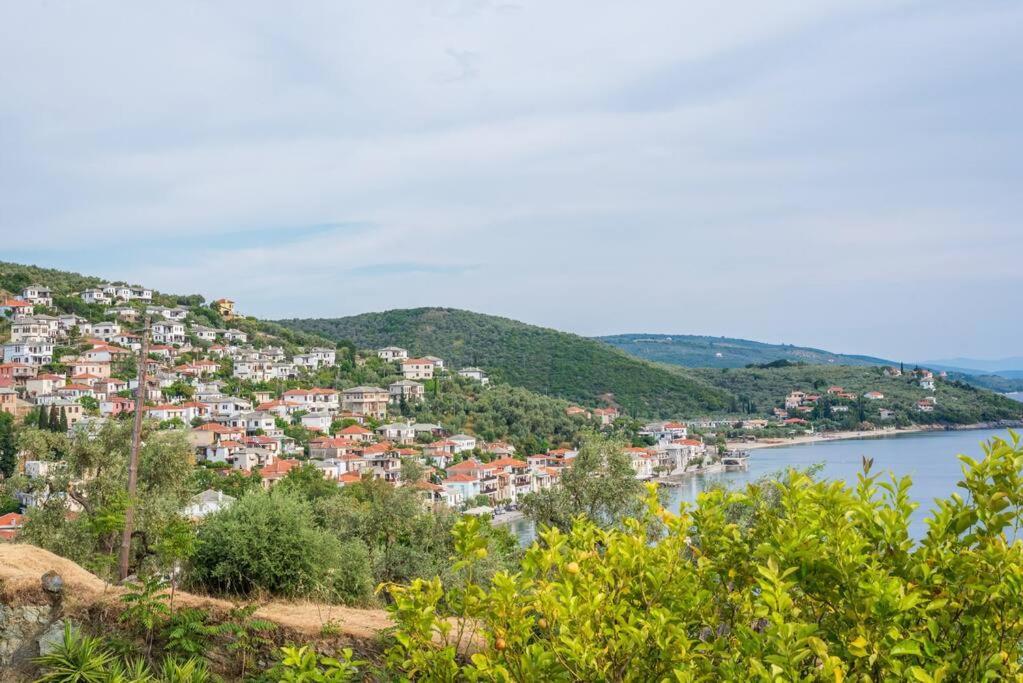 Seaside House With View Over Pagasitikos أفيسوس المظهر الخارجي الصورة