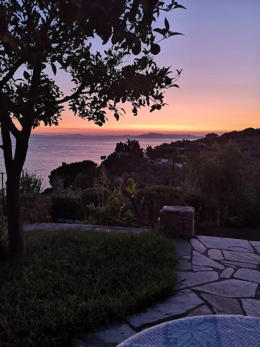 Seaside House With View Over Pagasitikos أفيسوس المظهر الخارجي الصورة