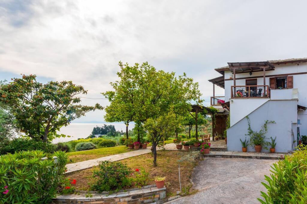 Seaside House With View Over Pagasitikos أفيسوس المظهر الخارجي الصورة